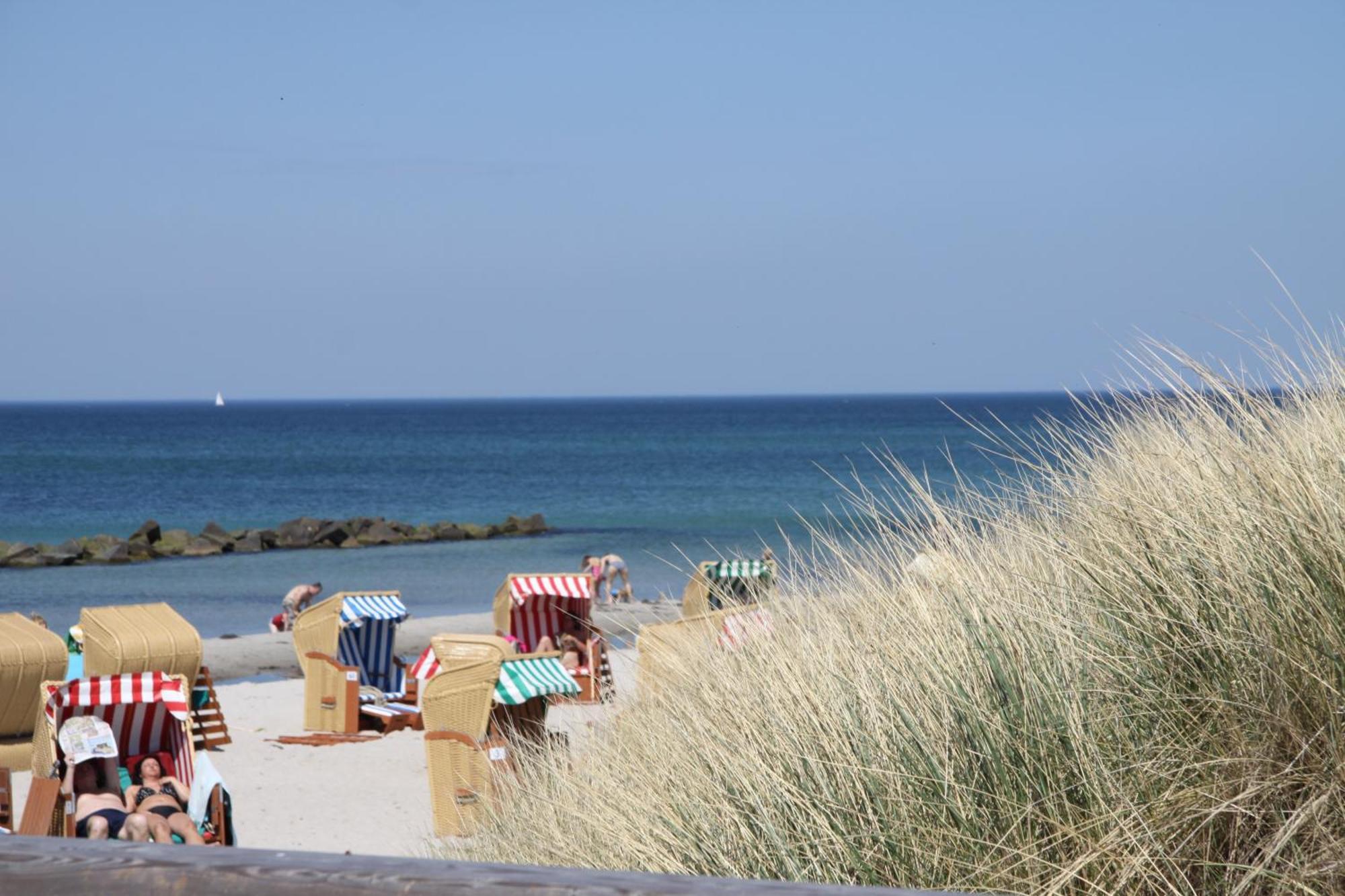 Am Horizont No 3: Seaside Garden Retreat with Home Office Zingst Exterior photo
